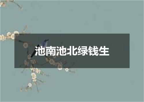 池南池北绿钱生