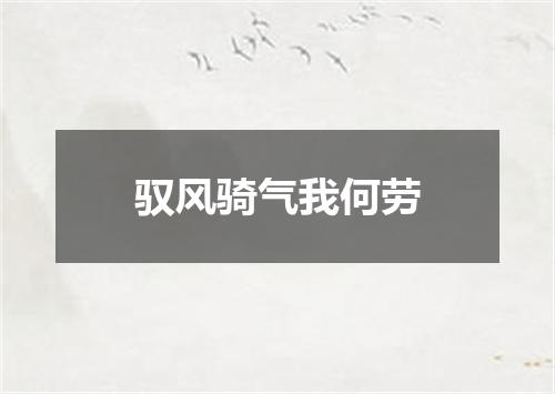 驭风骑气我何劳