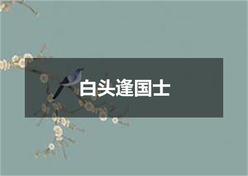 白头逢国士