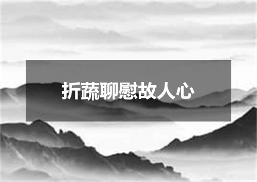 折蔬聊慰故人心