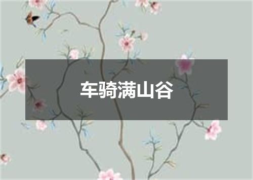车骑满山谷