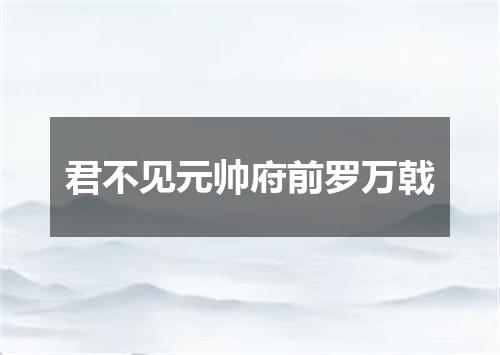 君不见元帅府前罗万戟