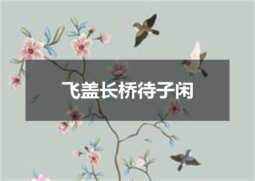 飞盖长桥待子闲