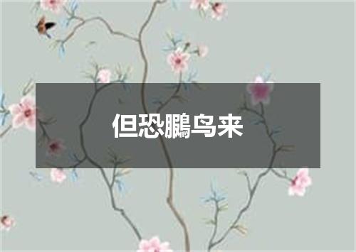 但恐鵩鸟来