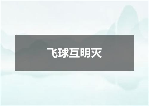飞球互明灭