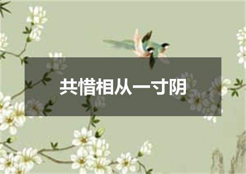 共惜相从一寸阴