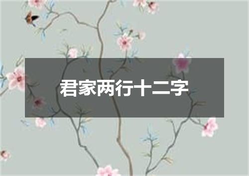 君家两行十二字