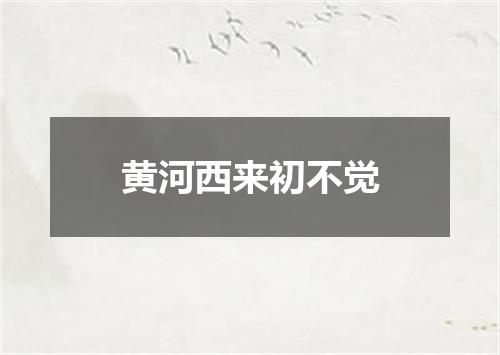 黄河西来初不觉