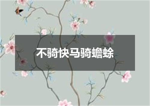 不骑快马骑蟾蜍