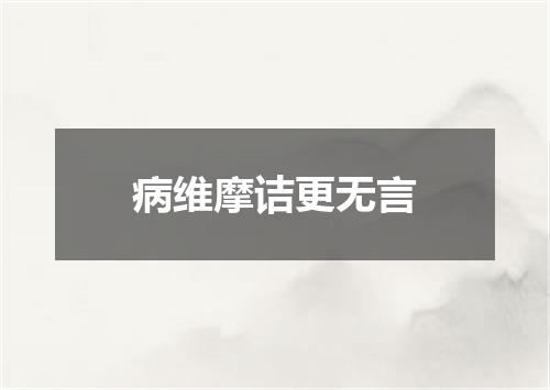 病维摩诘更无言