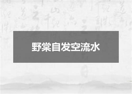 野棠自发空流水