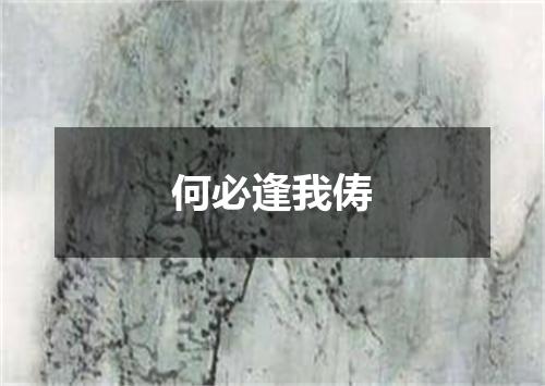 何必逢我俦