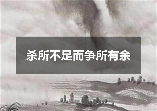 杀所不足而争所有余