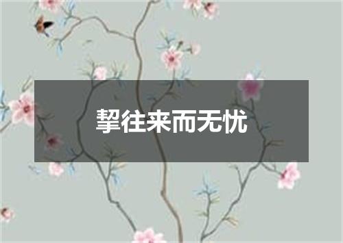挈往来而无忧