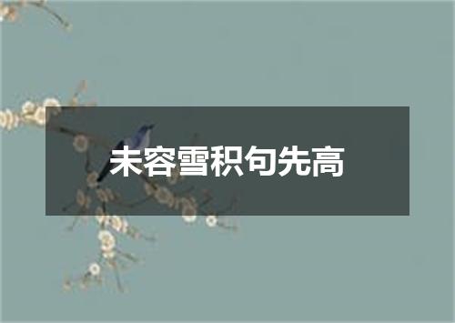 未容雪积句先高