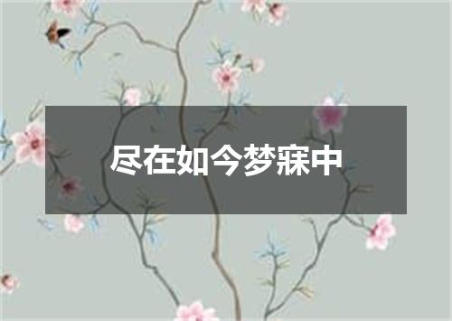 尽在如今梦寐中