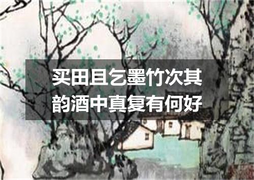 买田且乞墨竹次其韵酒中真复有何好