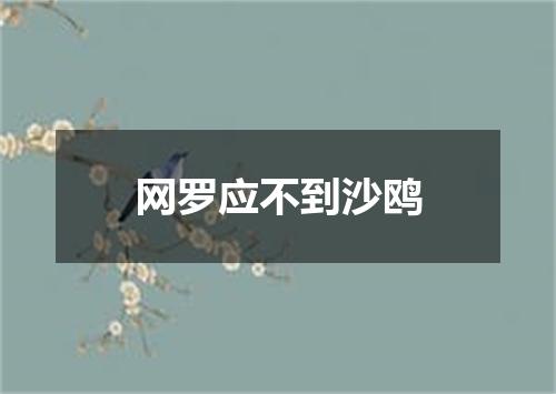 网罗应不到沙鸥
