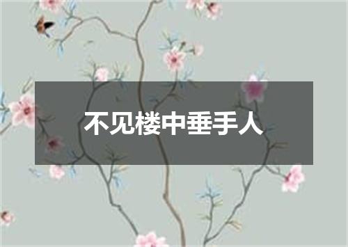 不见楼中垂手人