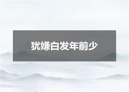 犹嫌白发年前少