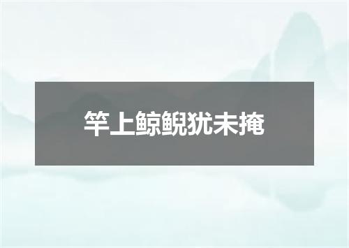 竿上鲸鲵犹未掩