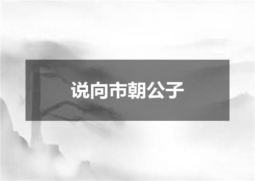 说向市朝公子