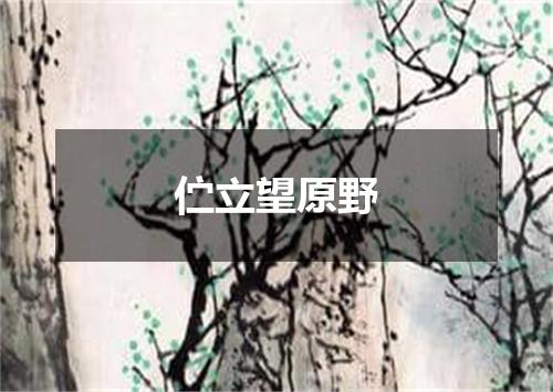 伫立望原野