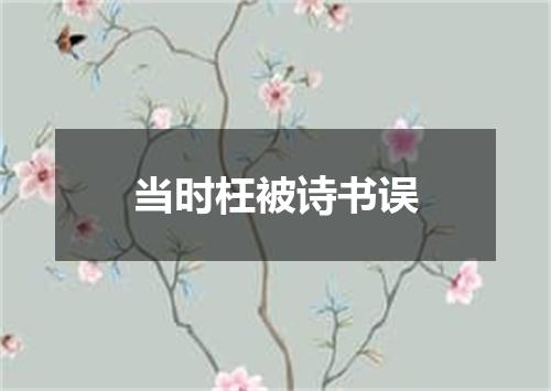 当时枉被诗书误