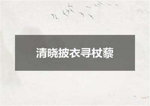 清晓披衣寻杖藜