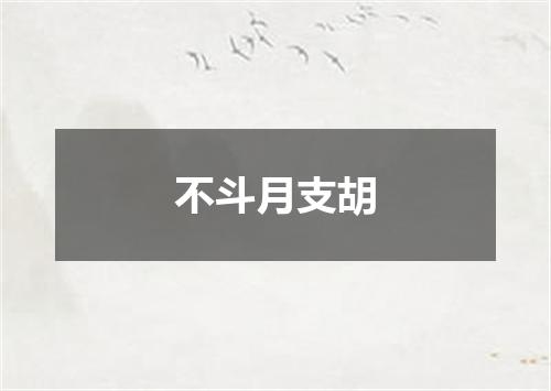不斗月支胡
