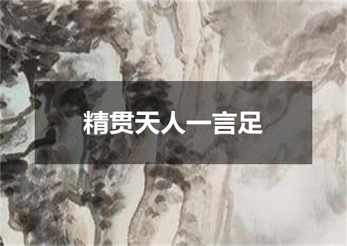精贯天人一言足