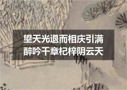 望天光退而相庆引满醉吟千章杞梓阴云天