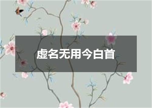 虚名无用今白首