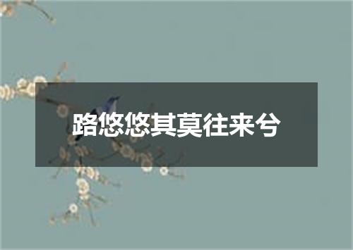 路悠悠其莫往来兮
