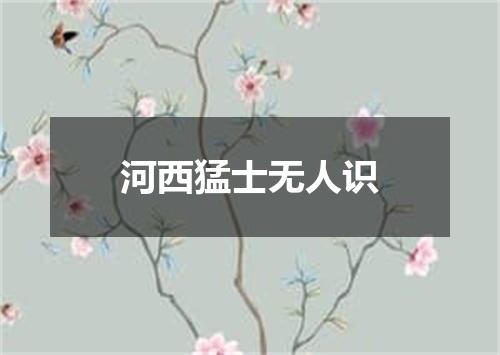 河西猛士无人识