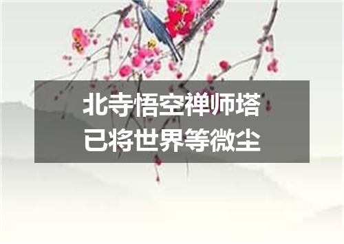 北寺悟空禅师塔已将世界等微尘