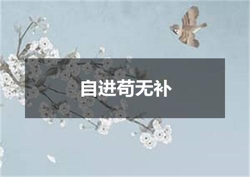 自进苟无补
