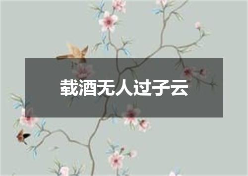 载酒无人过子云