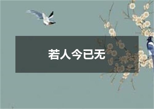 若人今已无