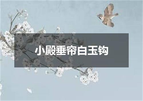 小殿垂帘白玉钩