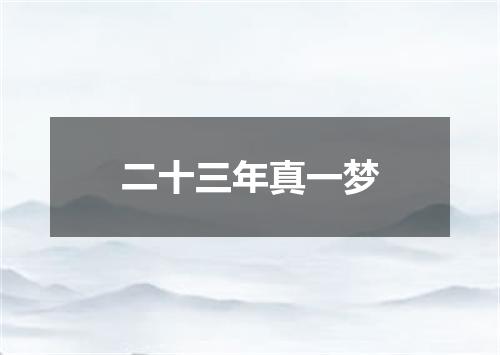 二十三年真一梦