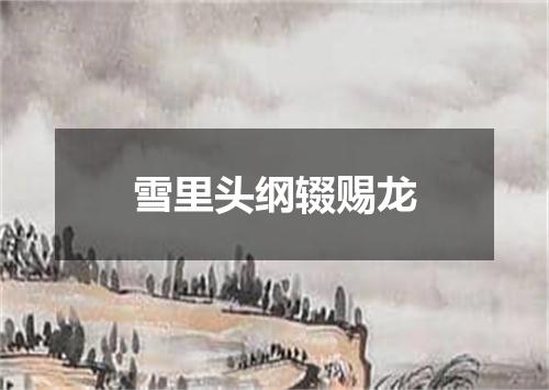 雪里头纲辍赐龙
