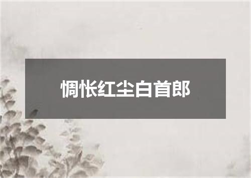 惆怅红尘白首郎