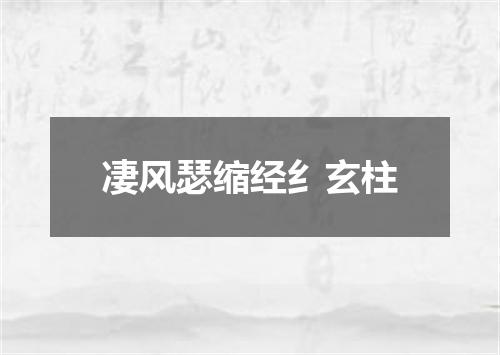 凄风瑟缩经纟玄柱