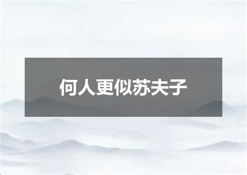 何人更似苏夫子