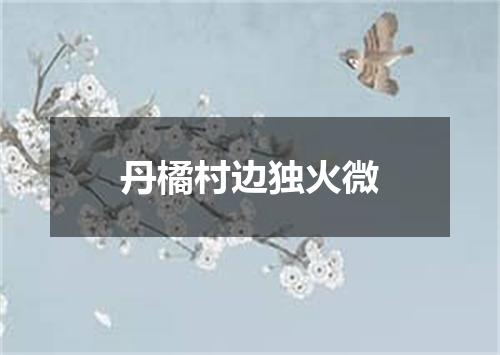 丹橘村边独火微