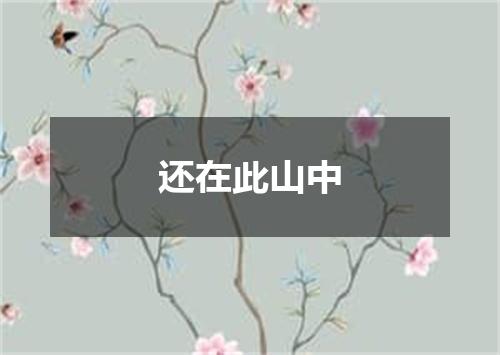 还在此山中