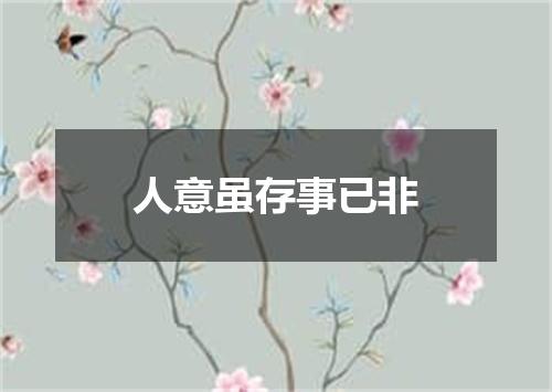 人意虽存事已非