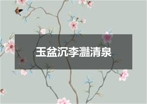 玉盆沉李灩清泉