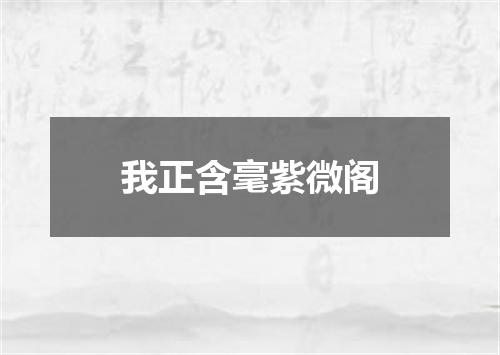 我正含毫紫微阁